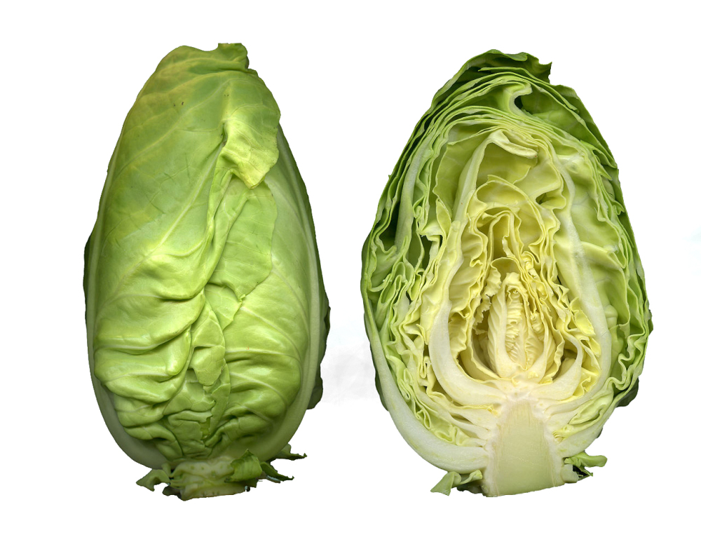 Regionales Gemüse Spitzkohl