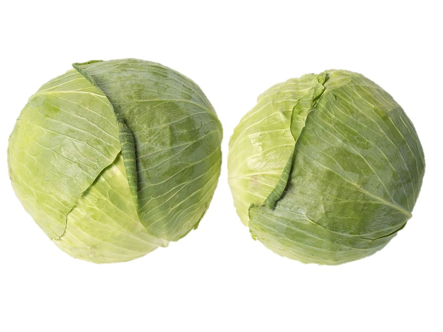 Regionales Wintergemüse Weißkohl