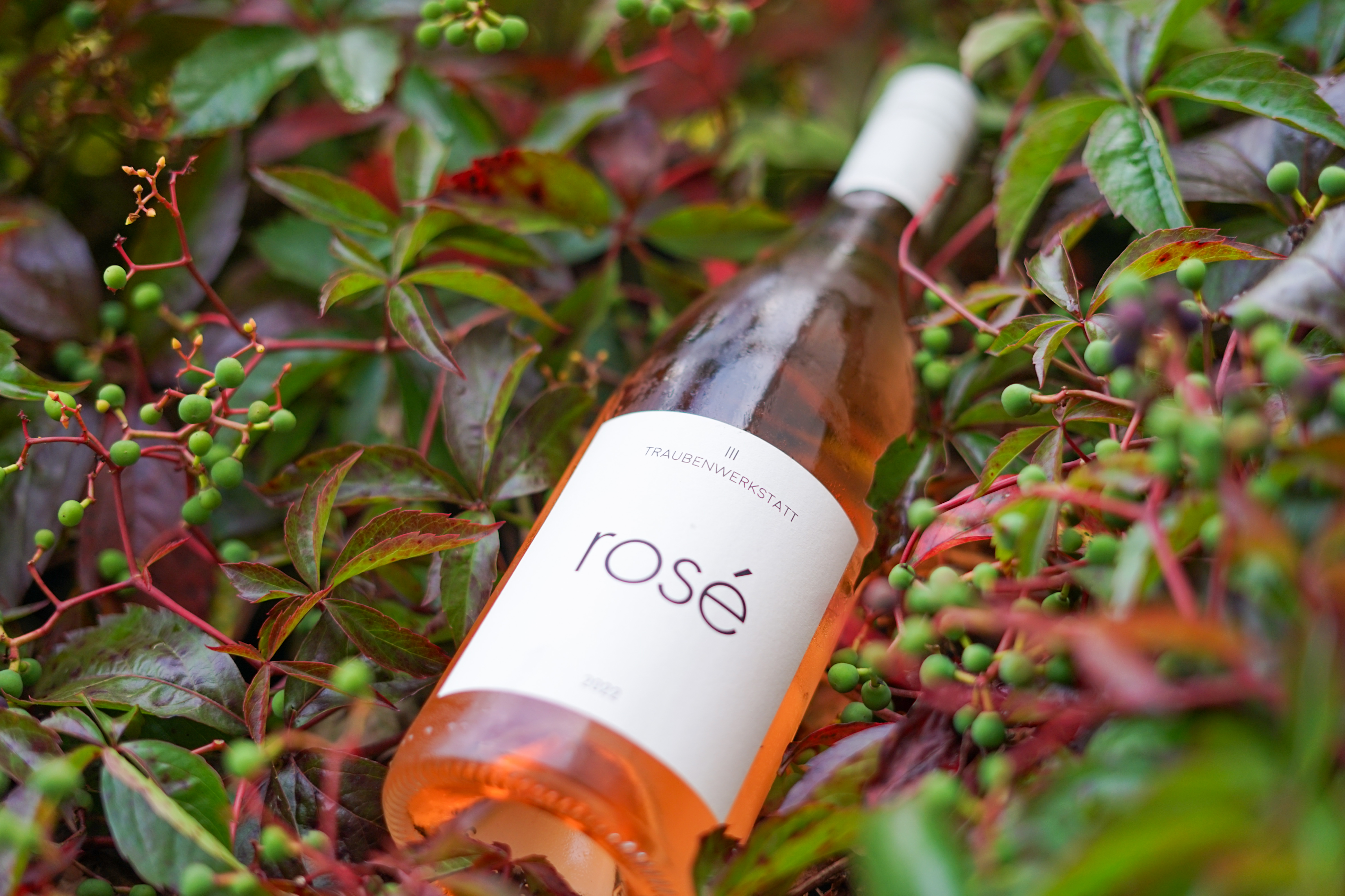 Traubenwerksatt Rosé 2022